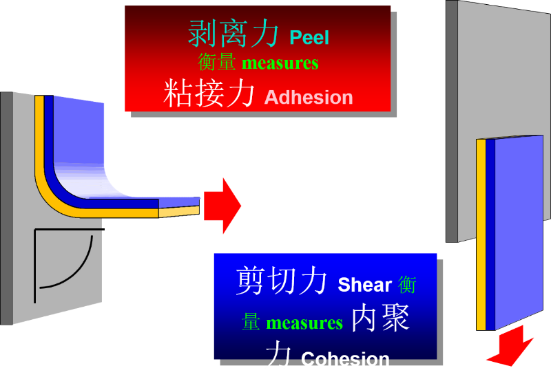 图片16